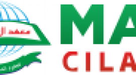 Logo MAIS